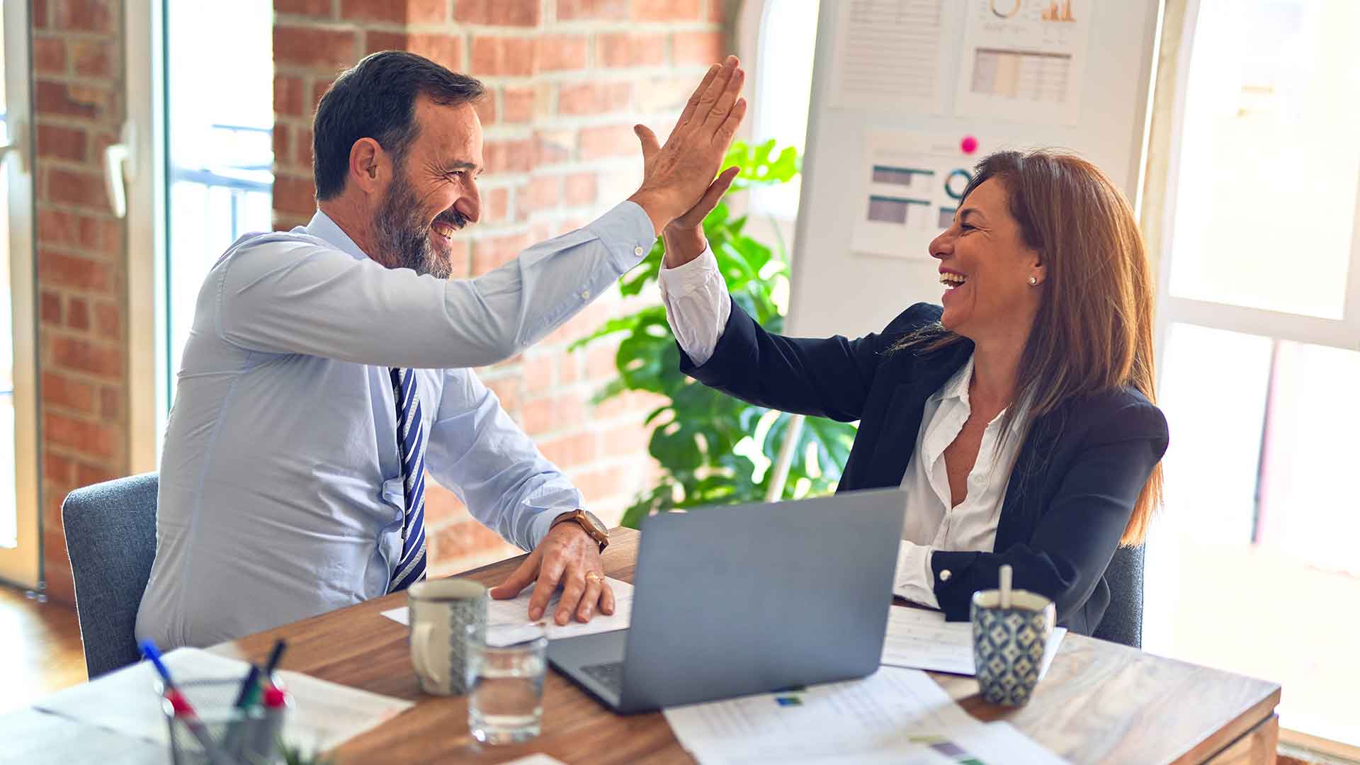Software project consultation