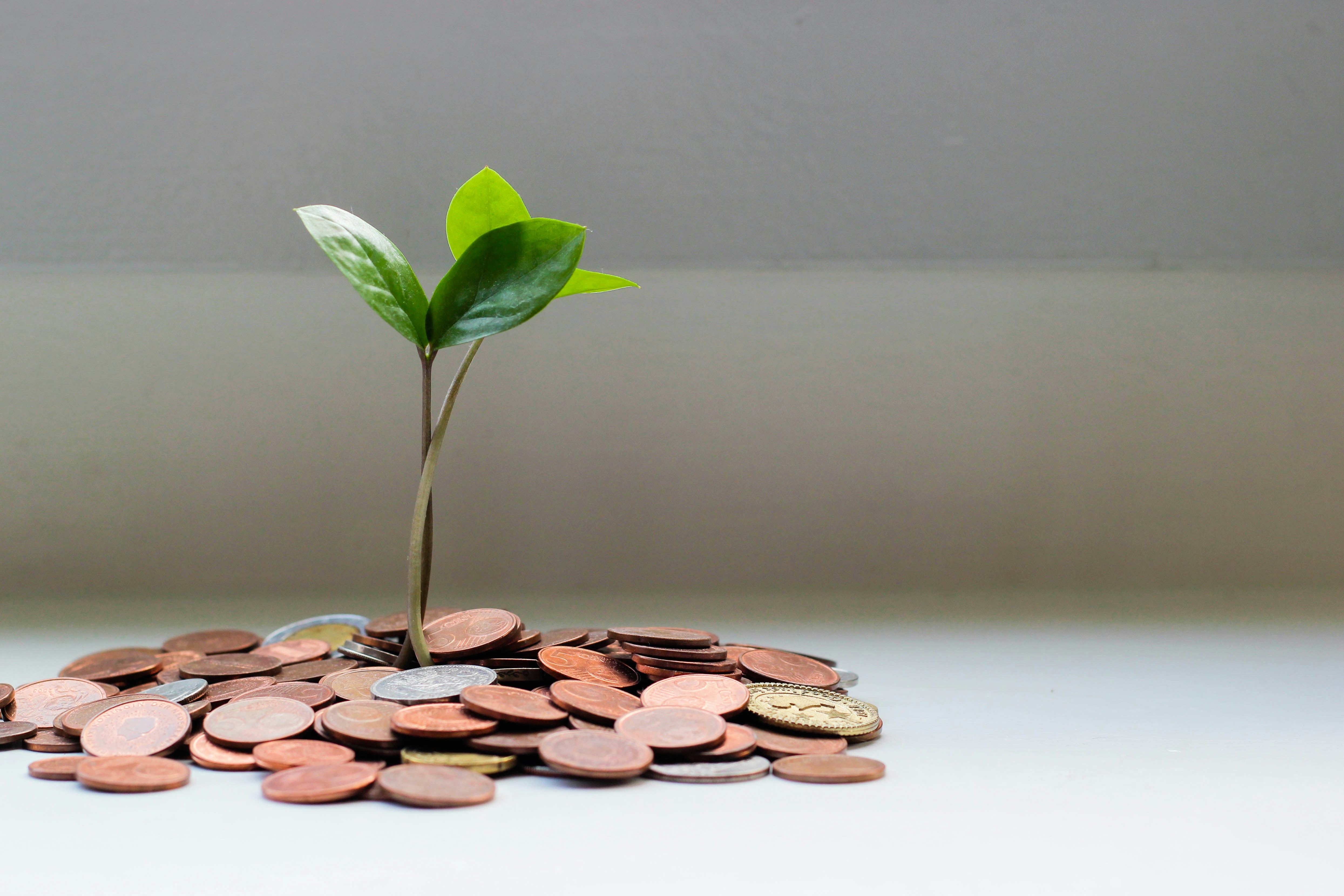 financial Fabmind Technologies Pvt. Ltd. Hinjewadi Phase 1 Pune